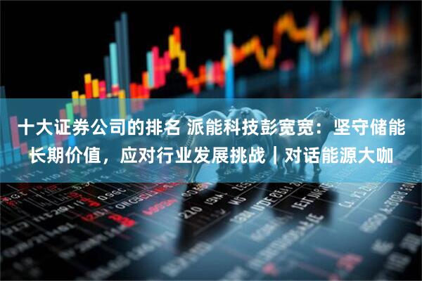 十大证券公司的排名 派能科技彭宽宽：坚守储能长期价值，应对行业发展挑战｜对话能源大咖
