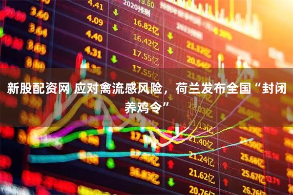 新股配资网 应对禽流感风险，荷兰发布全国“封闭养鸡令”